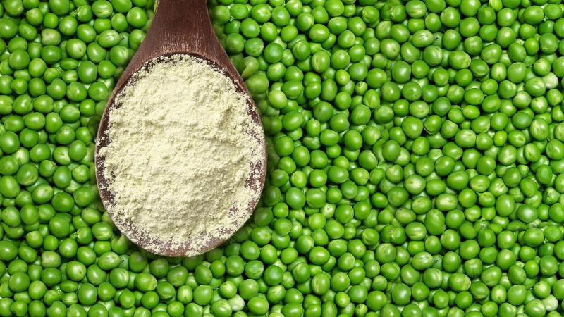 Bezelye Protein Kullanımı ve Faydaları Nelerdir?