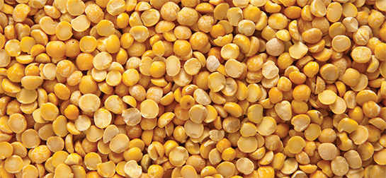 Sarı Bezelye Özellikleri ve Faydaları Nelerdir?